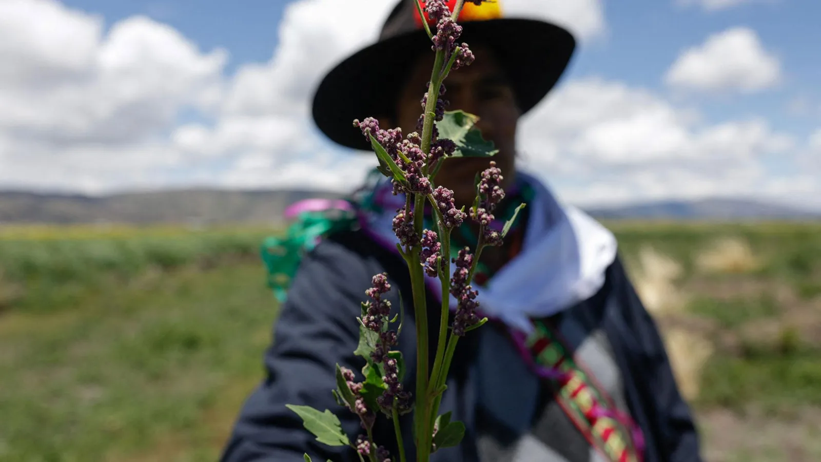 Indigenous Stewardship Emerges as Vital Solution for Climate Resilience