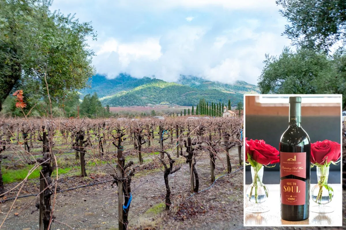 California Lawmakers Seek to Restore Canadian Market for US Wine After Major Export Losses