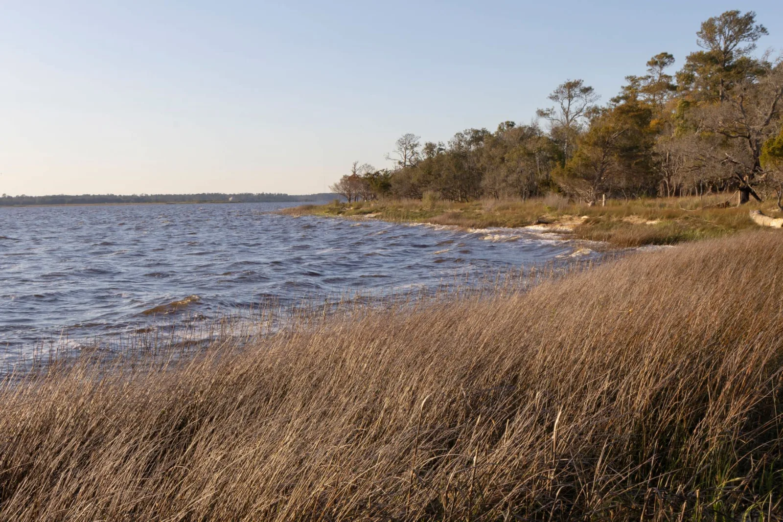 Federal Settlement with Chemours Over PFAS Falls Short of Cape Fear Cleanup Demands