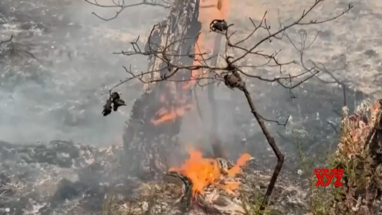 Southern Europe Battles Persistent Wildfires Amid Growing Climate Change Concerns