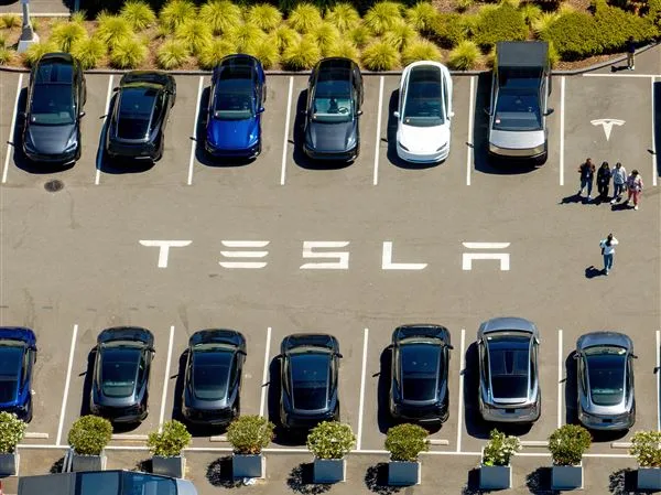 Tesla Reports Sales Growth Amid Signs of Waning Backlash Against Musk