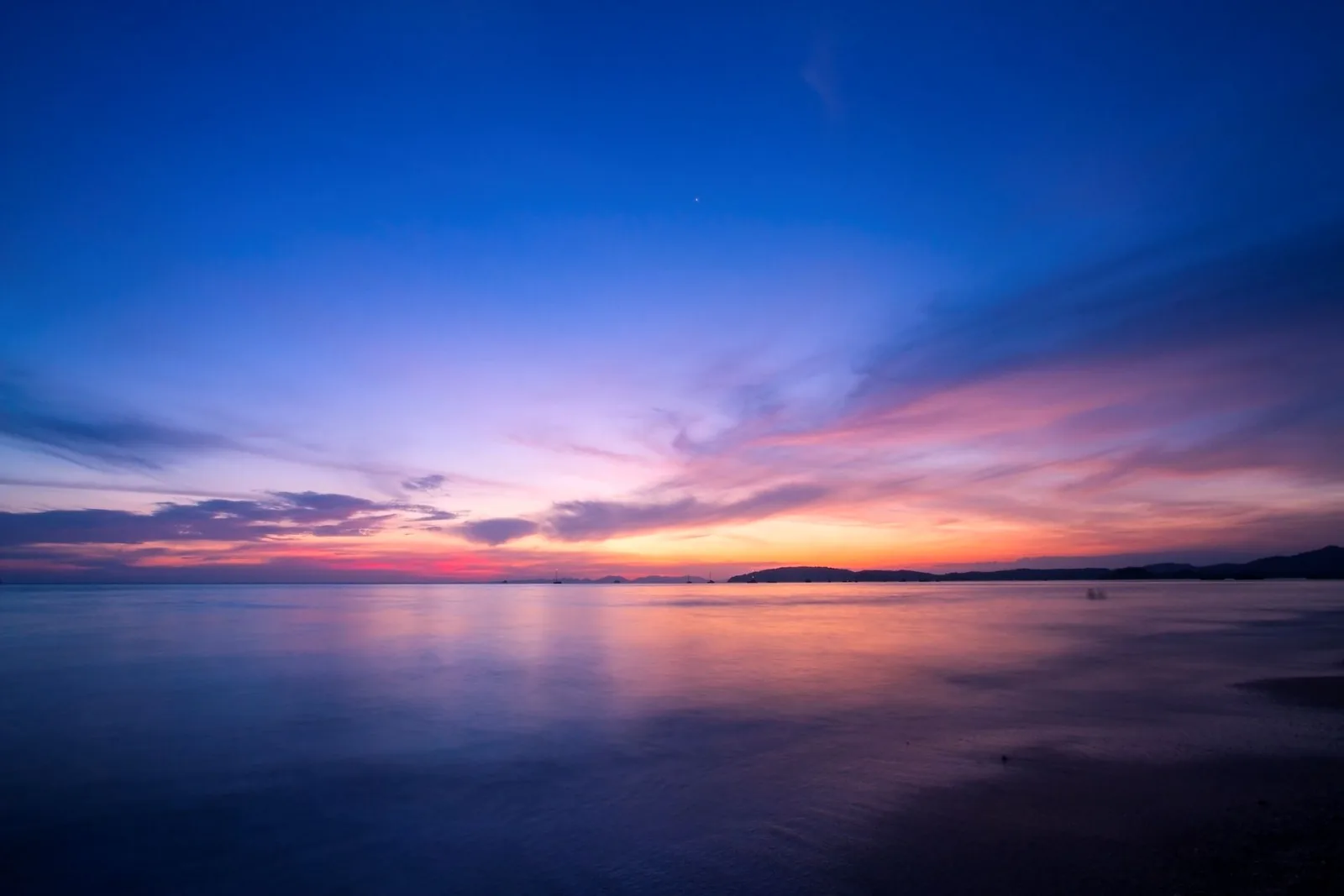 Trillions of Ocean Creatures Drive a Major Natural Carbon Transport Every Night