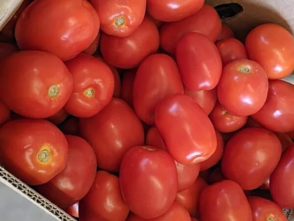 US International Trade Commission Maintains Anti-Dumping Tariffs on Mexican Tomatoes