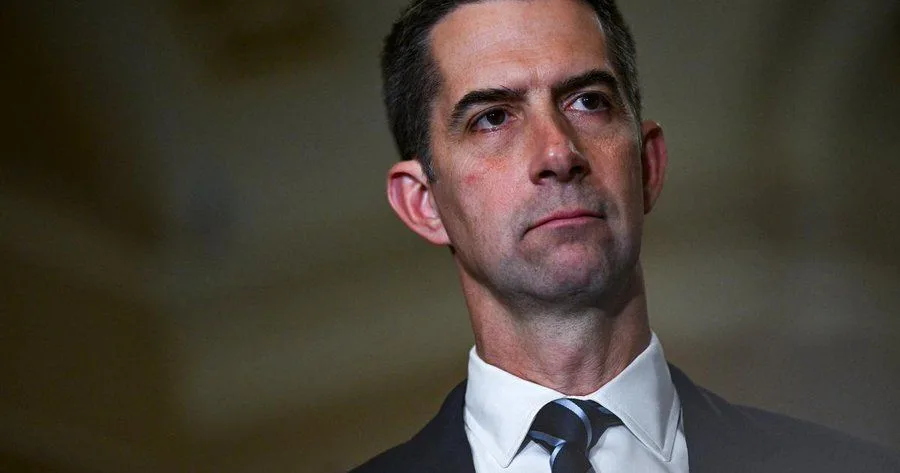 US Senator Urges Stronger Measures Against Chinese AI Models to Protect National Security