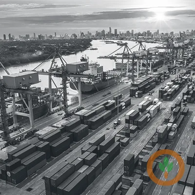 USMCA Faces Unprecedented Annual Review Process in Ongoing Trade Negotiations
